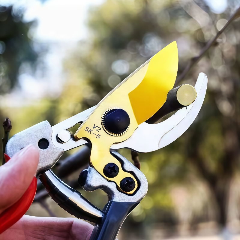 Gardening Tools On Sale - Horticultural Shears Trim Branches Fruit Trees