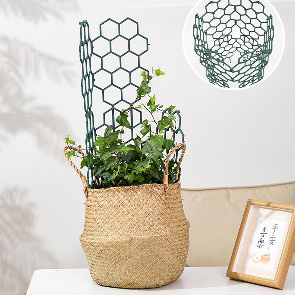 1/2/5Pcs Plastic Plant Support - Gardening Tools Usa review and price