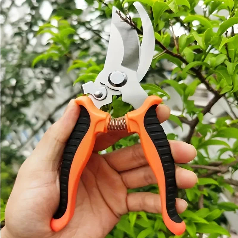 Stainless Steel Professional G - Gardening Tools On Sale review and price