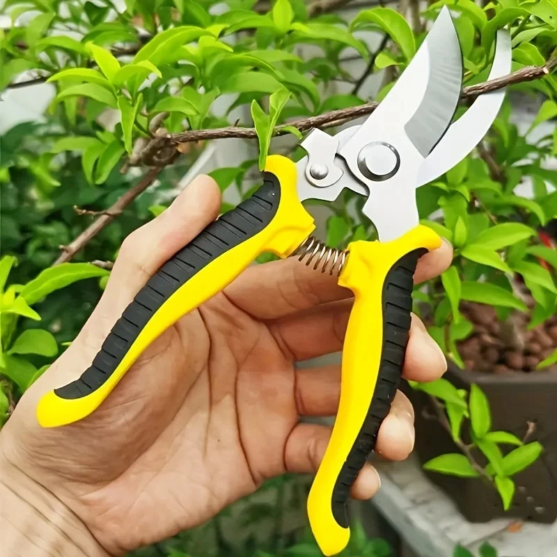 Stainless Steel Professional G - Gardening Tools On Sale review and price