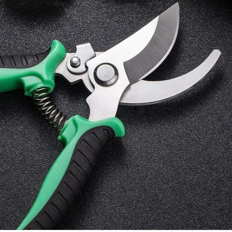 Stainless Steel Professional G - Gardening Tools On Sale review and price