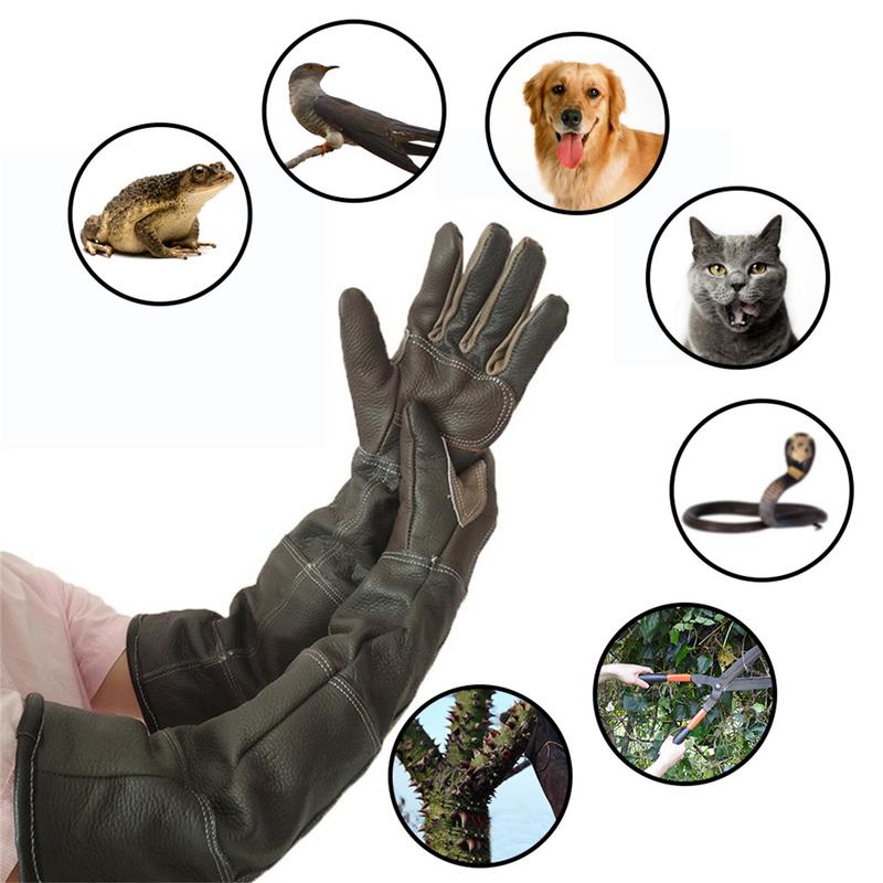 Pet Gloves Cowhide Leather Ant - Gardening Tools Gloves review and price