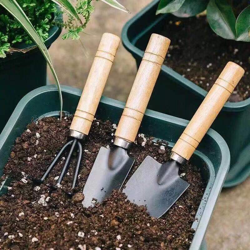 3Pcs Mini Gardening Tool Set w - Gardening Tools Wooden review and price