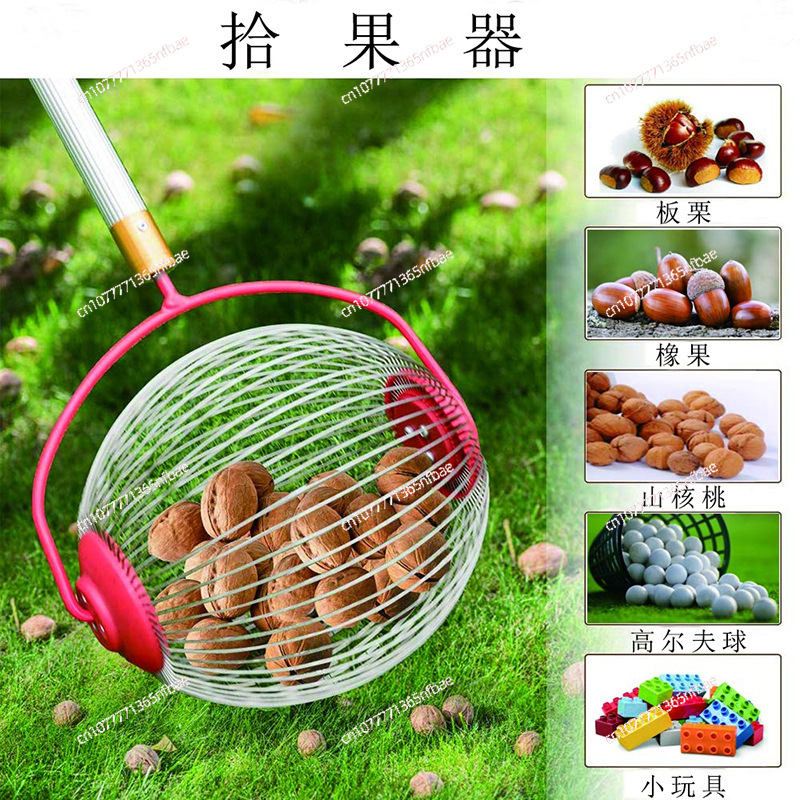 Amazon, Fruit Collector, Nut C - Gardening Tools Amazon review and price