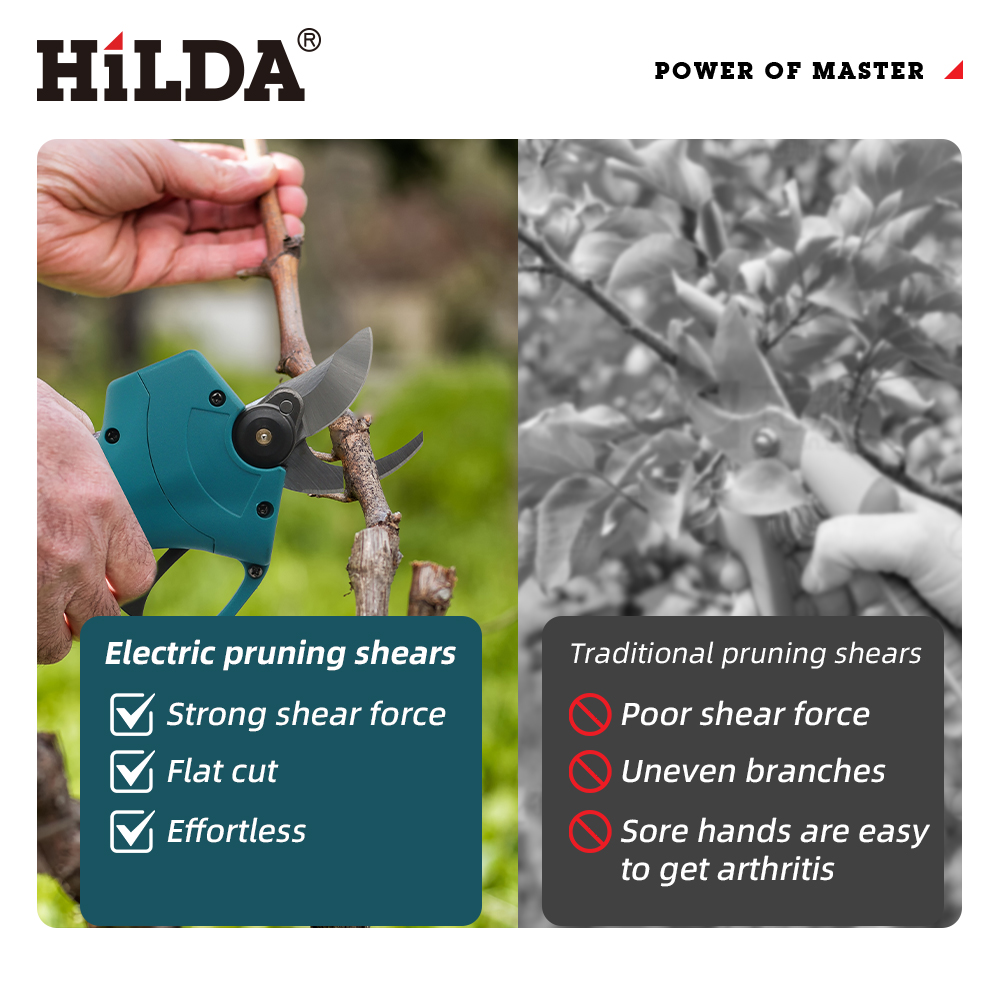 HILDA 18V Brushless Cordless E - Gardening Tools Usa review and price