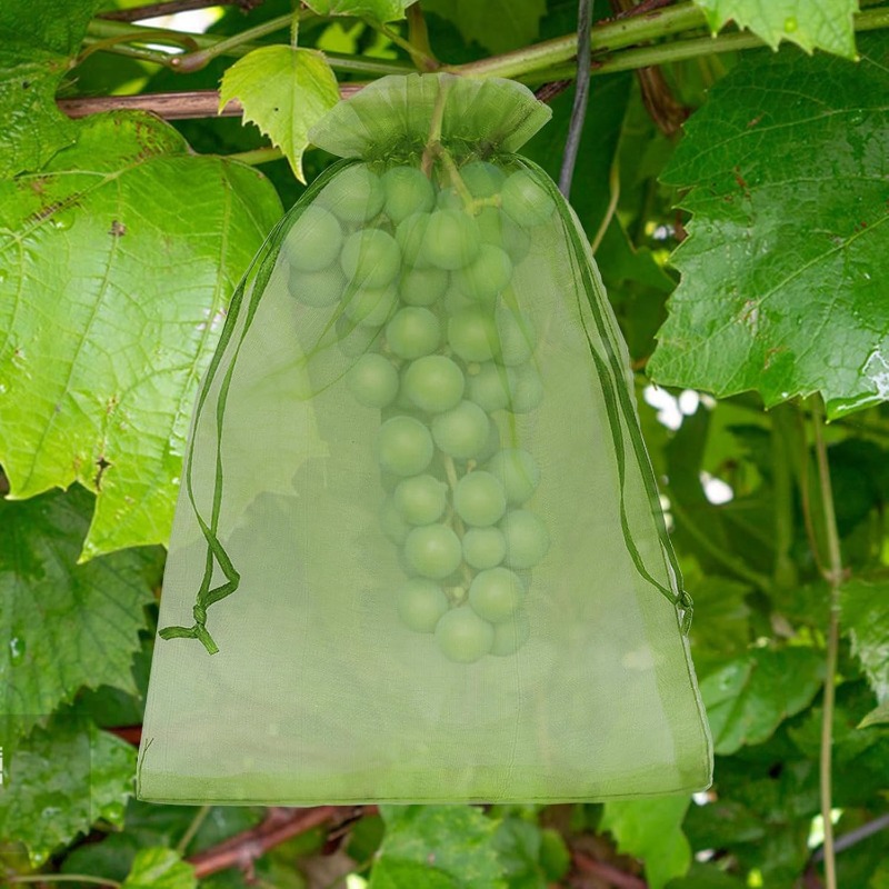 Wholesale Fruit Protection Bag - Gardening Tools Store review and price