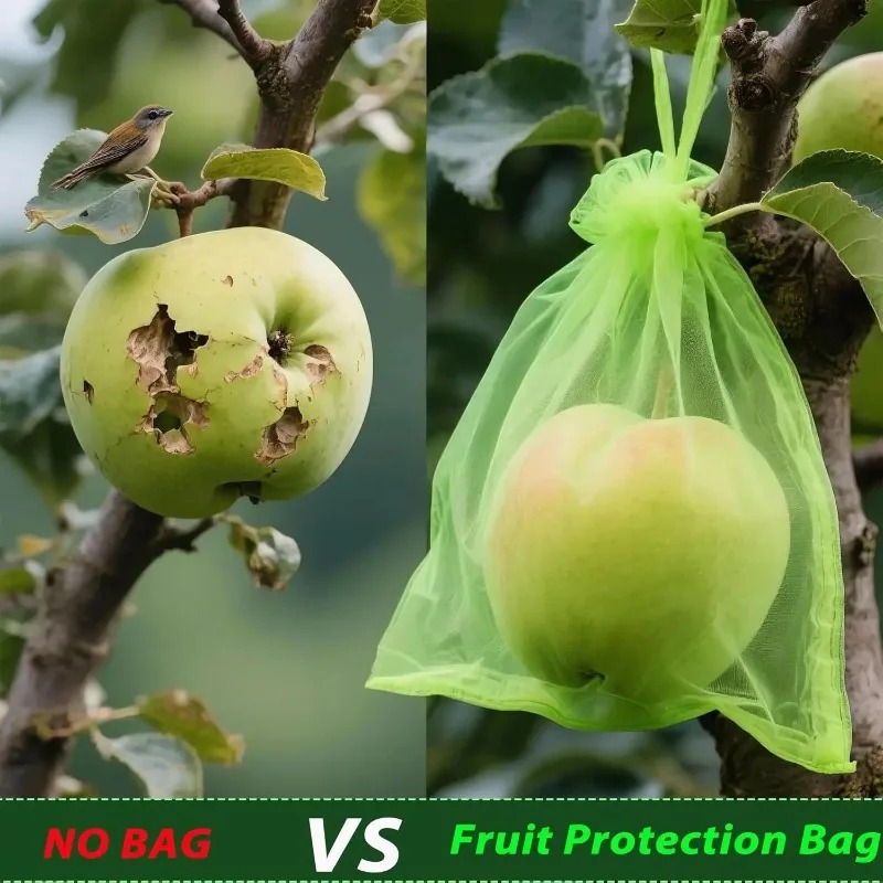 Wholesale Fruit Protection Bag - Gardening Tools Store review and price