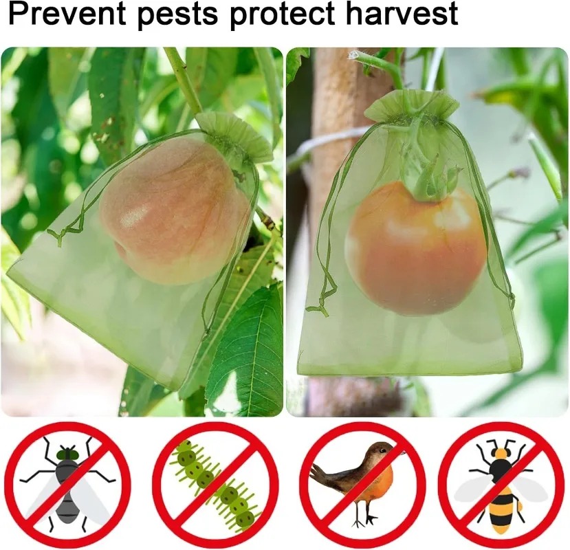 Wholesale Fruit Protection Bag - Gardening Tools Store review and price