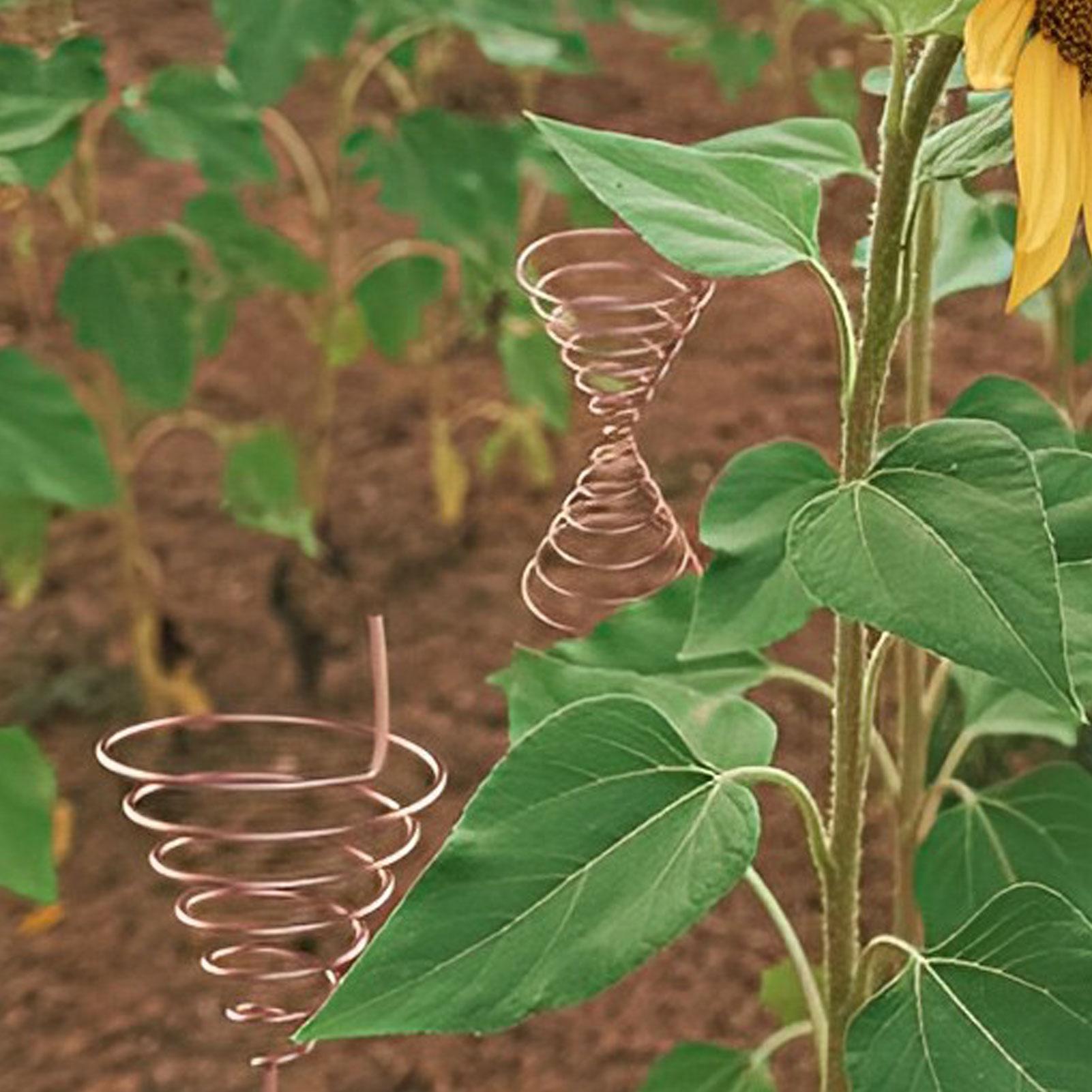 Coil Winding Jig for Electrocu - Gardening Tools Diy review and price