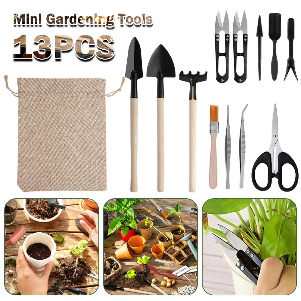 13PCS Succulent Plants Tool Se - Gardening Tools Kit For Home Garden review and price