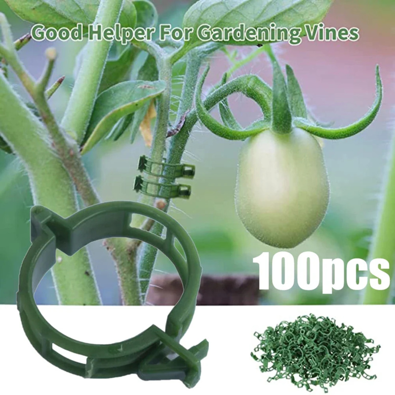 100 PCS/ Plant Support Clip Pl - Gardening Tools Usa review and price