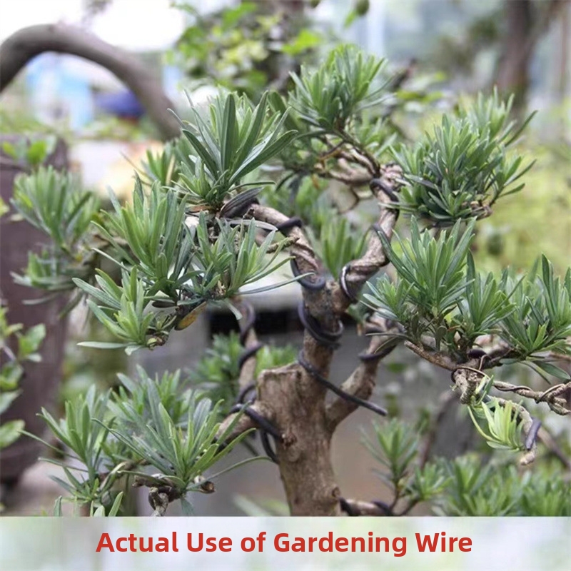 1.5MM Bonsai Wires Aluminum Bo - Gardening Tools Diy review and price