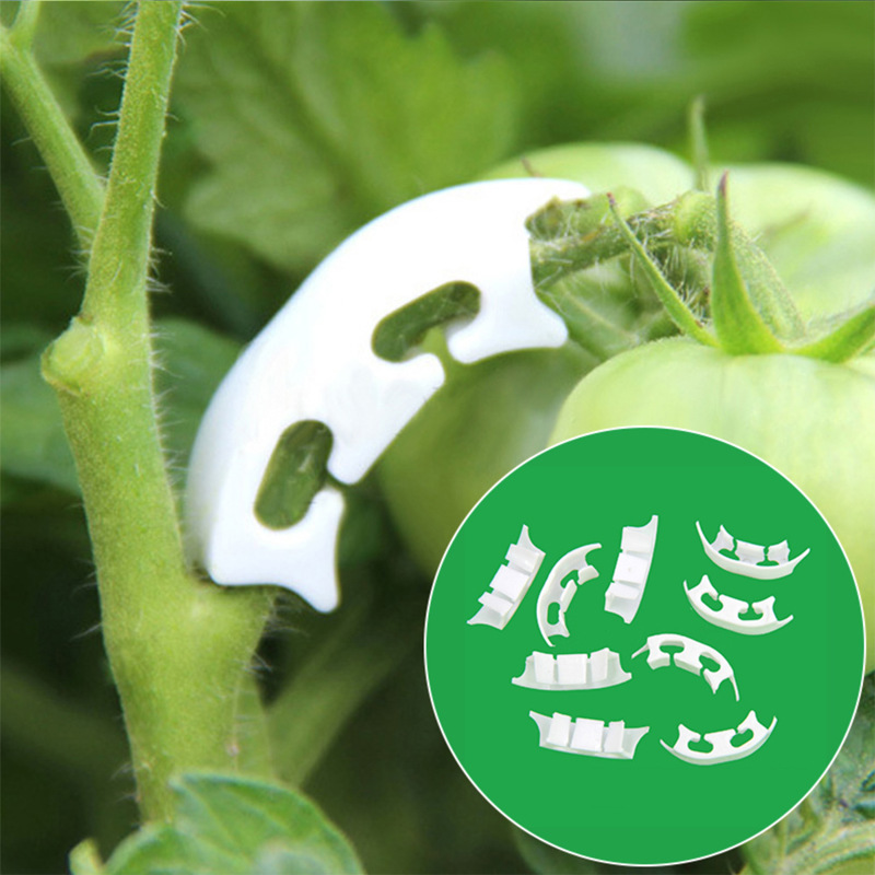50/100pcs Botany-stem Vine Str - Gardening Tools Bundle review and price