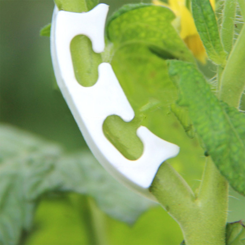 50/100pcs Botany-stem Vine Str - Gardening Tools Bundle review and price
