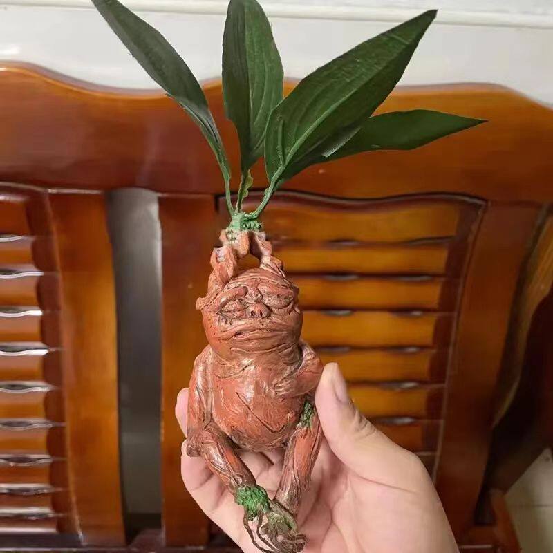 Mandrake Mandrake Resin Orname - Gardening Tools Amazon review and price