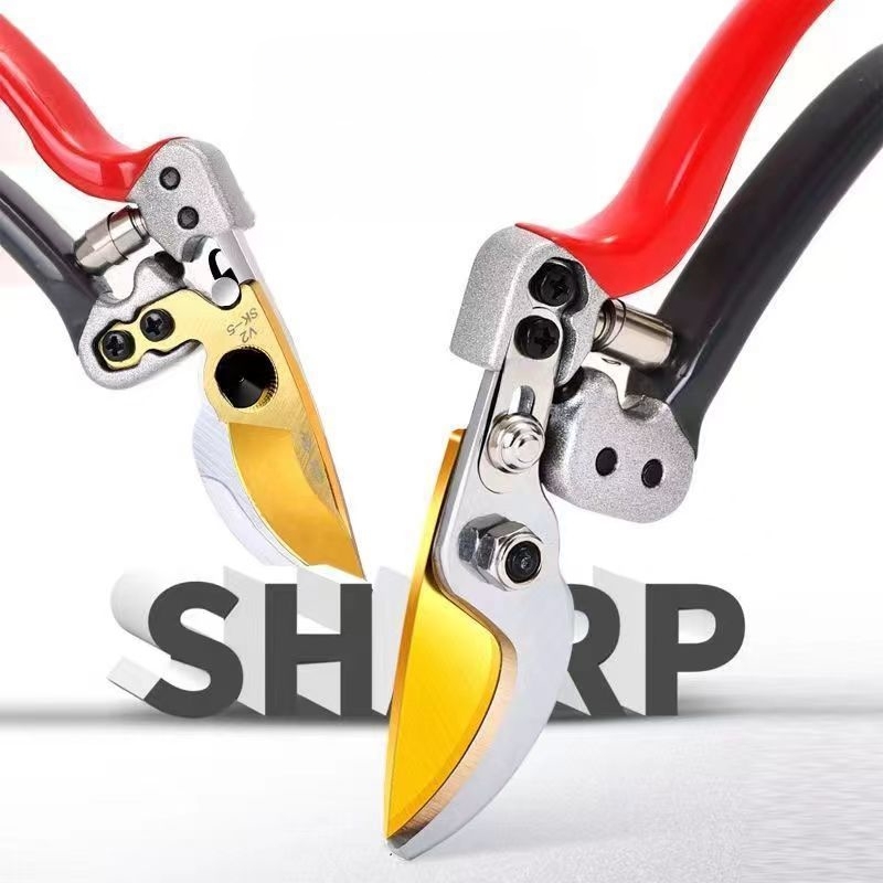 Horticultural Shears Trim Bran - Gardening Tools On Sale review and price