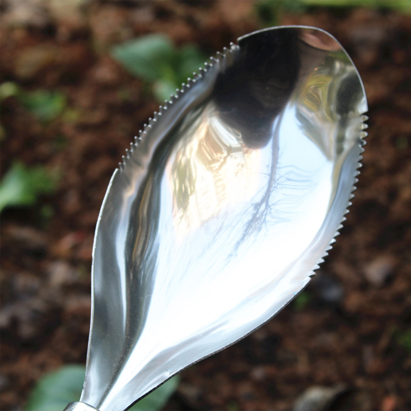8-Piece Stainless Steel Garden - Gardening Tools Wooden review and price