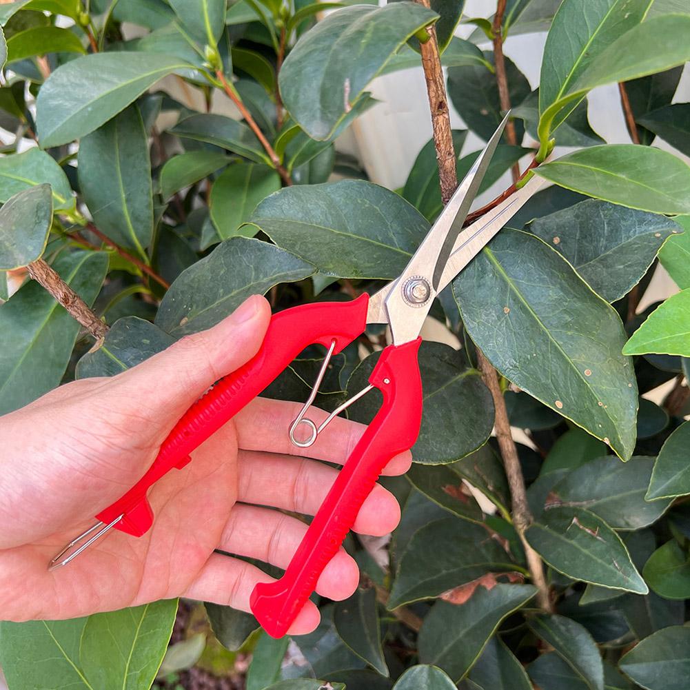 Pro Garden Pruning Shears Leng - Gardening Tools Usa review and price