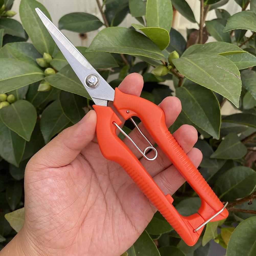 Pro Garden Pruning Shears Leng - Gardening Tools Usa review and price