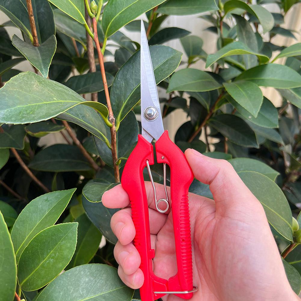 Pro Garden Pruning Shears Leng - Gardening Tools Usa review and price