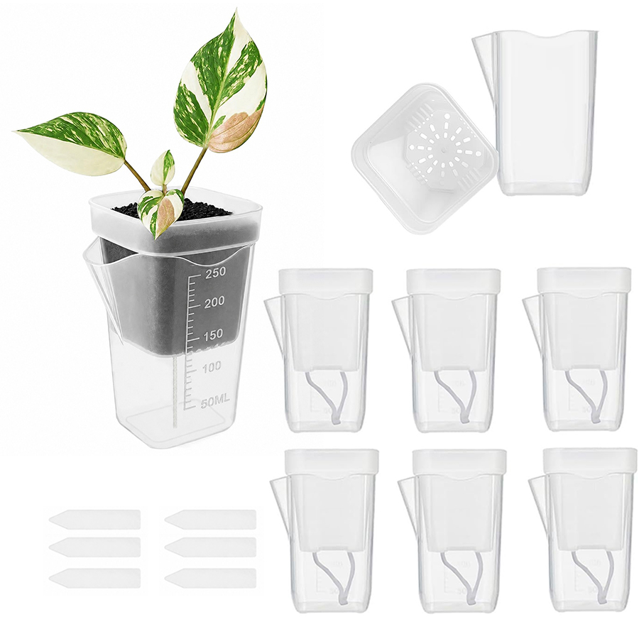 12/24PCS Self Watering Succule - Gardening Tools Kit For Home Garden review and price