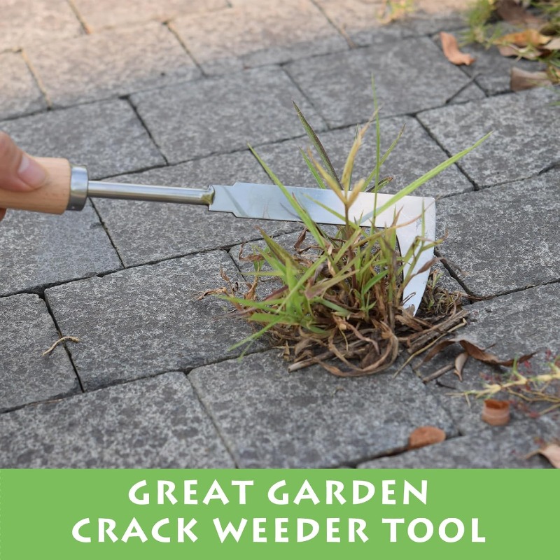 Stainless Steel Gap Weeding To - Gardening Tools On Sale review and price