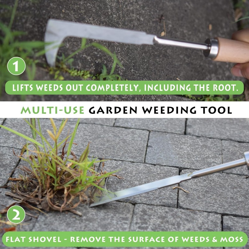 Stainless Steel Gap Weeding To - Gardening Tools On Sale review and price