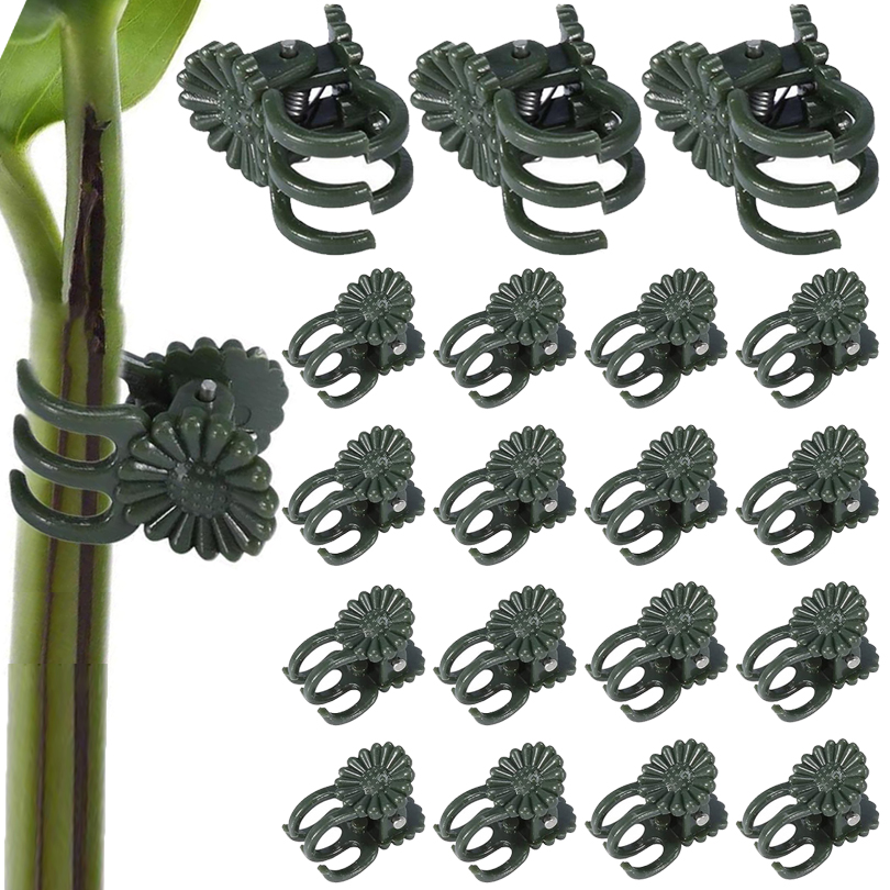 20/50/100PCS Plant Clips Vine  - Gardening Tools Usa review and price