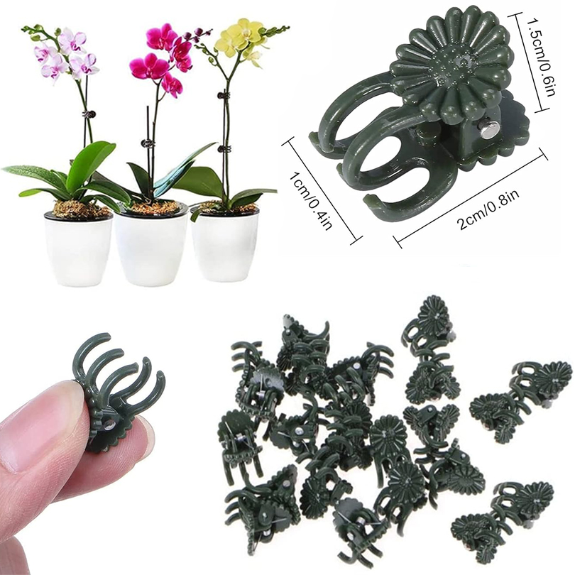 20/50/100PCS Plant Clips Vine  - Gardening Tools Usa review and price