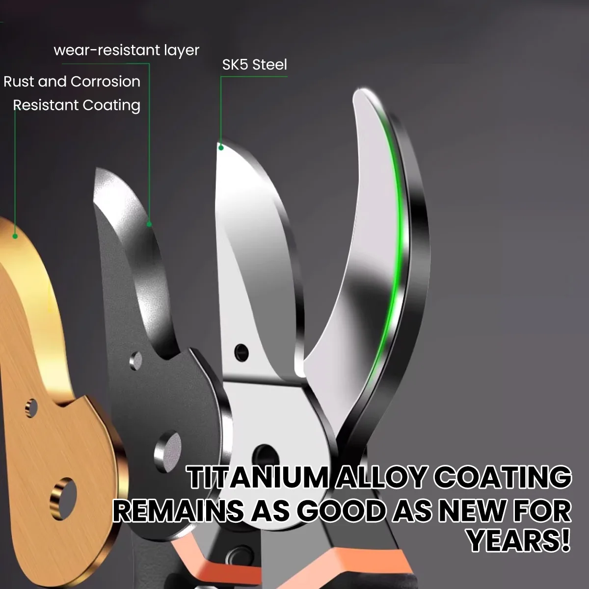 AIRAJ 8.5 Inch Pruner Shears S - Gardening Tools On Sale review and price